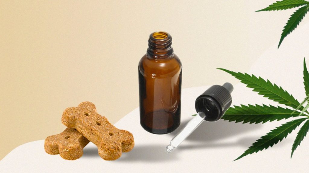cbd oil for dogs